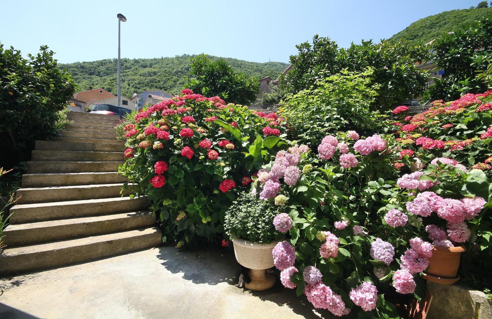 Apartments Raicevic Budva Eksteriør billede